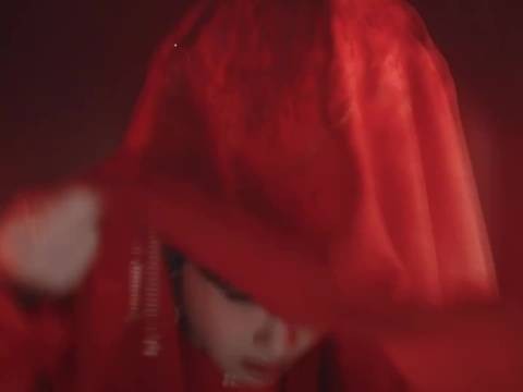杨紫赞助餐车回馈《家业》粉丝