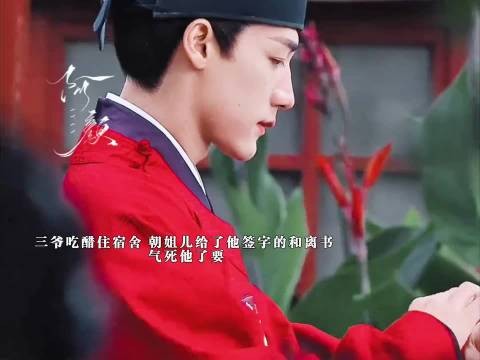 三爷收到和离书，气疯了