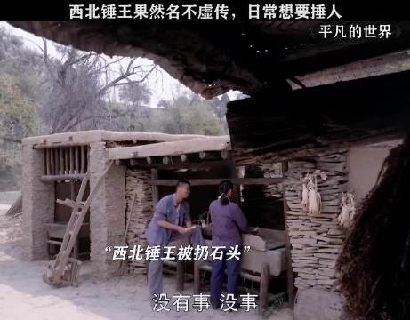 王雷拒演平凡的世界西北锤王，吕一贺秀莲引热议