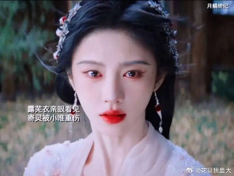 寄灵原来是木偶