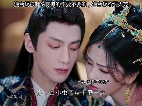 澹台烬被叶夕雾撩的不要不要的,澹台烬不要太宠