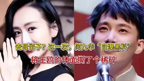 去母留子?这一次,何九华“自爆黑料”,将王鸥的体面撕了个稀碎