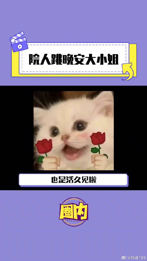 蒲熠星 南波万的聚会3