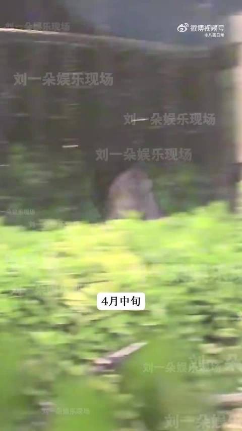 狗仔爆料周也与电影配角恋情,视频模糊难辨认