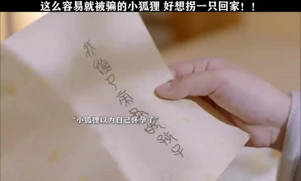 不是说狐狸都很聪明吗，怎么这只不太一样