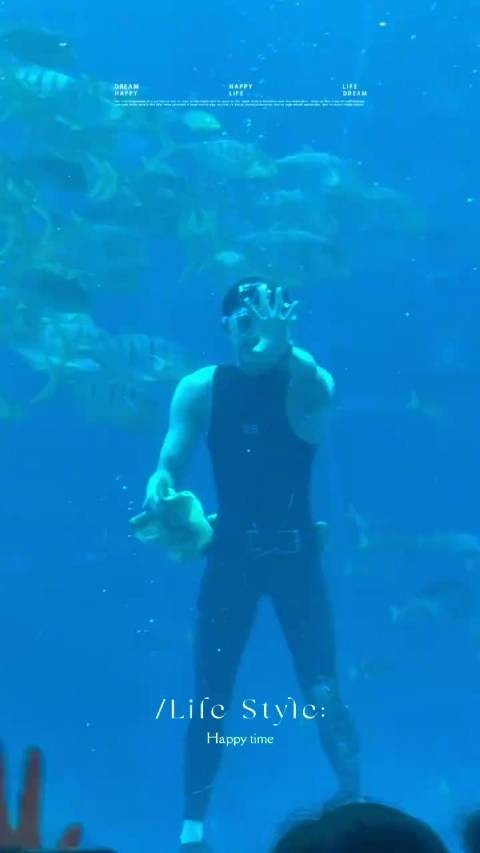 吴磊化身男美人鱼亮相水族馆，鱼群环绕氛围浪漫