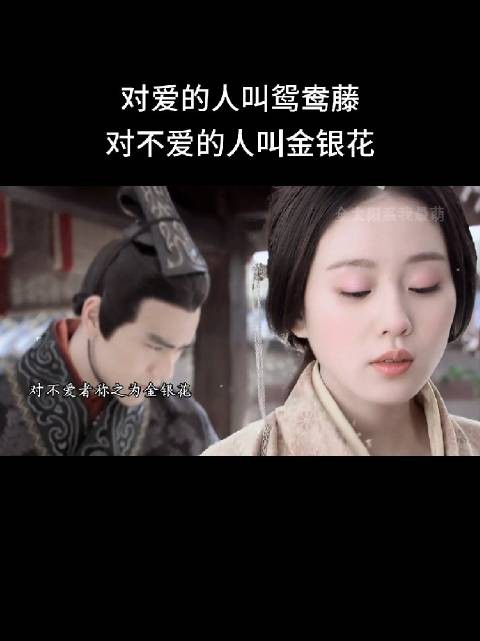 金银花回应网友误伤,强调名称由来