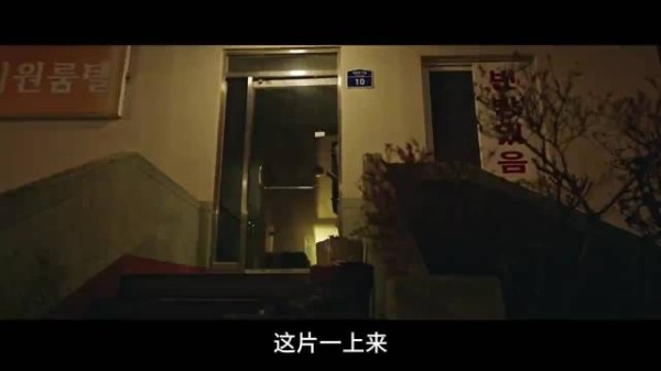 红高跟敲门索命,自杀树藏鱼缸诱人