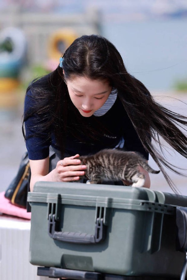 关晓彤和剧中的小猫咪互动。