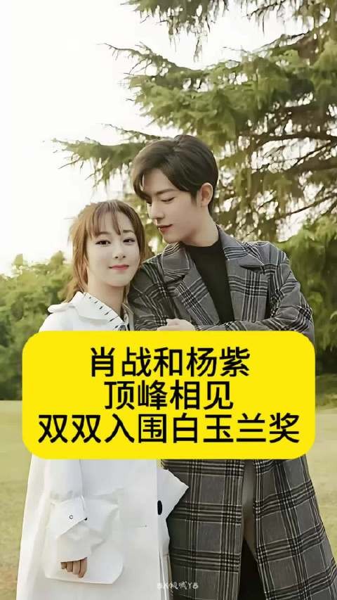肖战和杨紫顶峰相见，双双入围白玉兰奖