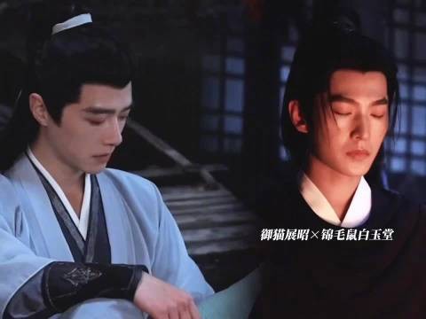 展昭白玉堂冲霄楼伤而不死,互怼展鼠猫情谊