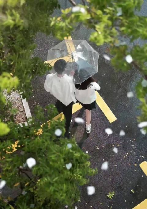 哎哟想告诉全世界我们今天是太阳雨有团综了！