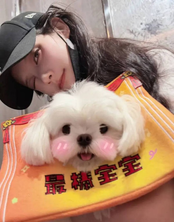 李一桐的wink。