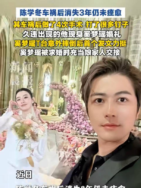 陈学冬陪伴奚梦瑶从求婚到婚礼