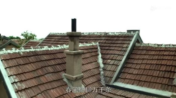 高颜值美女氛围感画面（27）