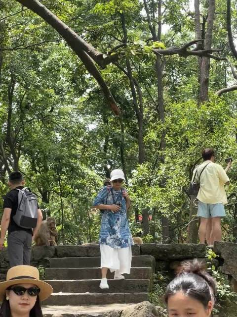 猴子惦记上大姐的背包,这玩意也太危险了!