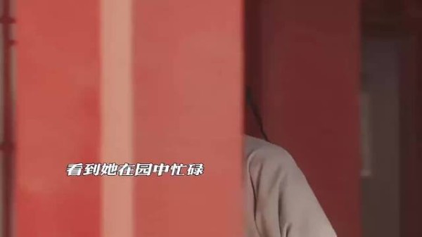 迟来的深情……终究是留不住她了