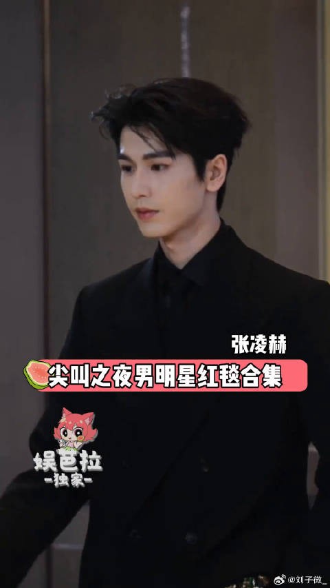 2025尖叫之夜男星红毯状态合集