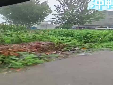 黑老大刚刚出来就被小弟安排了
