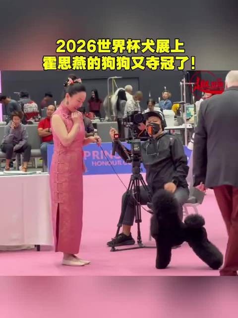 霍思燕携爱犬骆驼亮相国际宠物赛