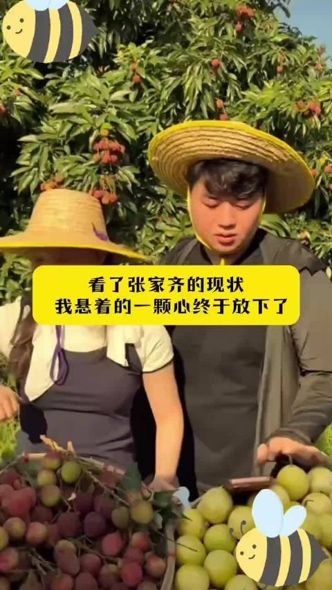 看了张家齐的现状, 我悬着的一颗心终于放下了