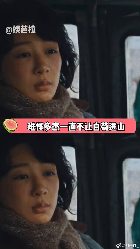 辽阔的土地上生不出狭隘的爱 生命树杨紫守护高原绝境 多杰 微博VC计划
