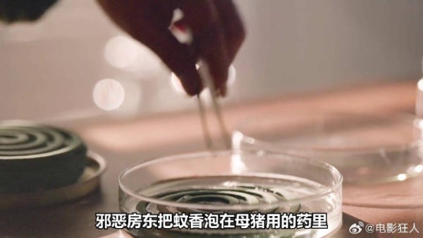 房东为了满足自己在女孩房间装满监控不料把自己吓