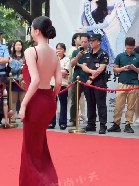 连子欣~2025全球中华小姐香港总冠军 她是靠背赢的?好富态的长相