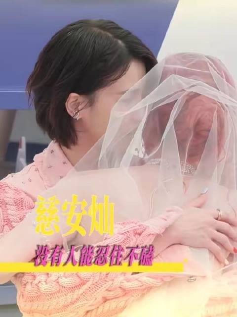 能憋住不为慈安灿心动的，那才叫真本事！嗑糖 cp