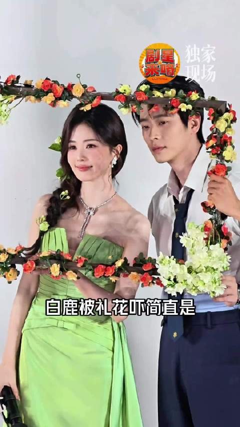 白鹿每次追剧团的经典小节目就是被礼花吓到哈哈哈