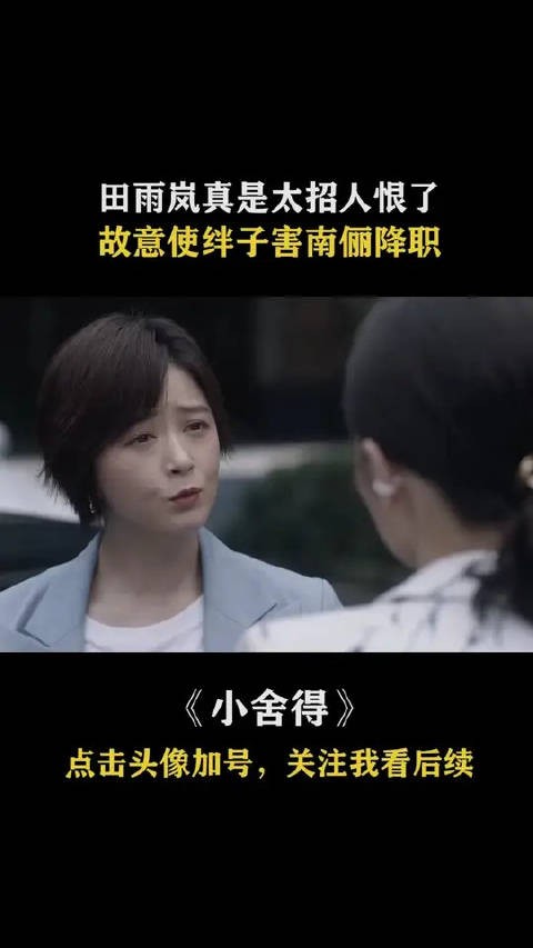 田雨岚真是太招人恨了,故意使绊子害南俪降职