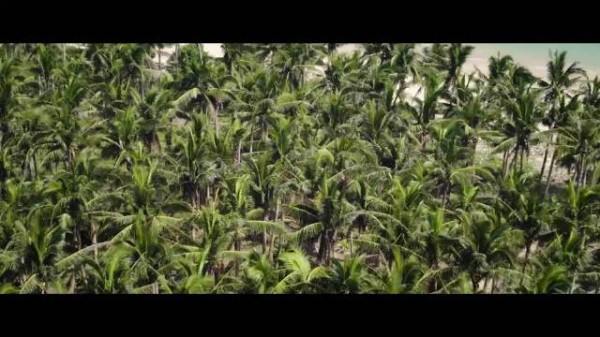 《南部档案》邪神黄昏草引危机，主角战力拉满闯关