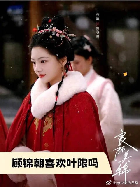 顾锦朝喜欢叶限吗