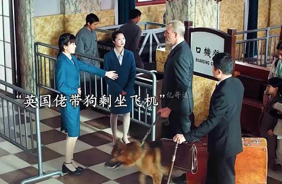 英国佬带狗坐飞机遭阻拦，结果开枪杀人闯下大祸