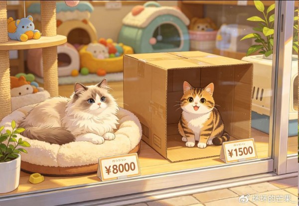 “纯种猫”VS“串串猫”,养过的人告诉你:区别大到离谱!