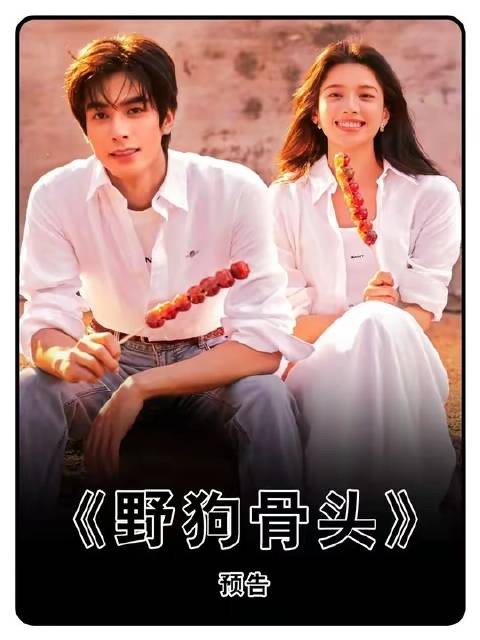 伪兄妹叙事巅峰之作!宋威龙饰演的底层野狗,为护她悍然掀翻整条黑道链