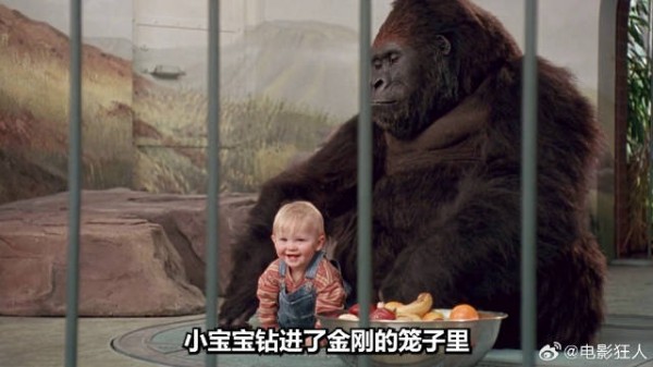 熊孩子被劫匪绑走没想到中途发生意外将劫匪整的怀