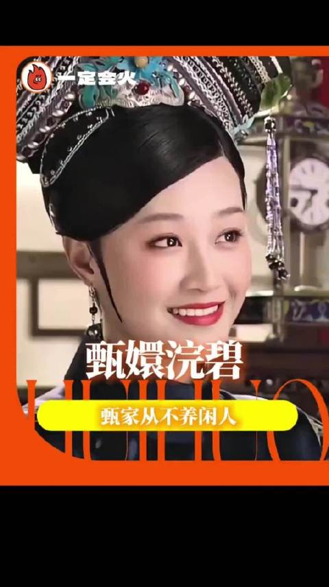 没有你们这些网友，这甄嬛传我是真看不明白 !