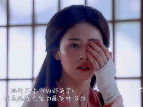 之一, 叶璃 丞磊 墨修尧 白鹿叶璃 莫离追剧讨论团