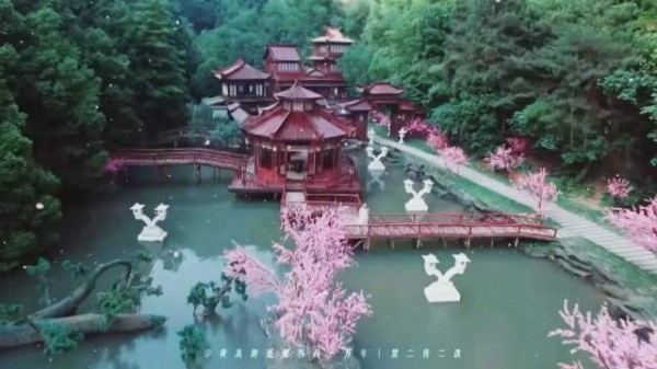 苗侨伟庆生粉丝混剪贺寿，新戏无惧引期待
