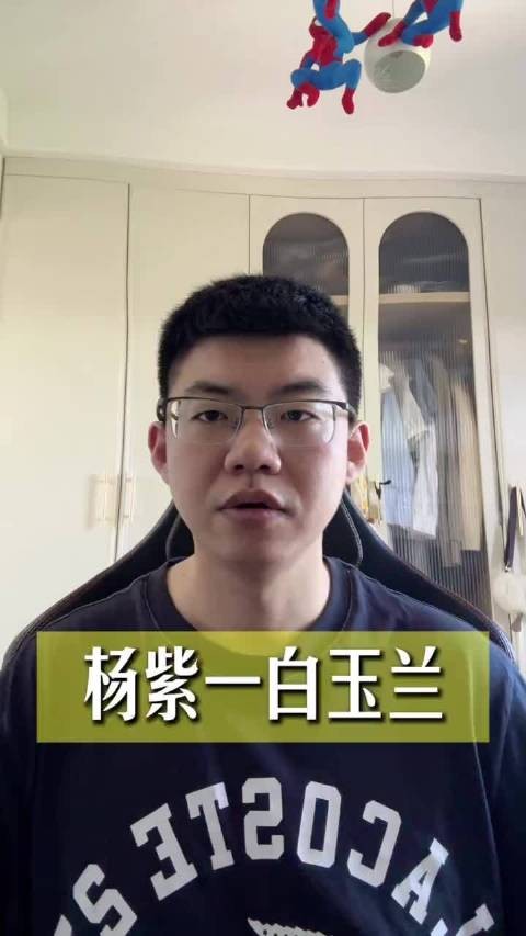 杨紫 #白玉兰 生命树不二之选!