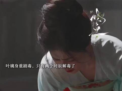 叶璃中毒命悬一线,墨景黎嫁祸凌云公主