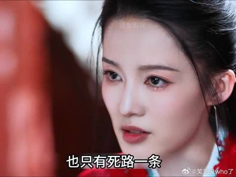 堂堂的女将军,竟成了敌国大皇子的小妾