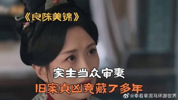 家主当众审妻,旧案真凶竟藏了多年