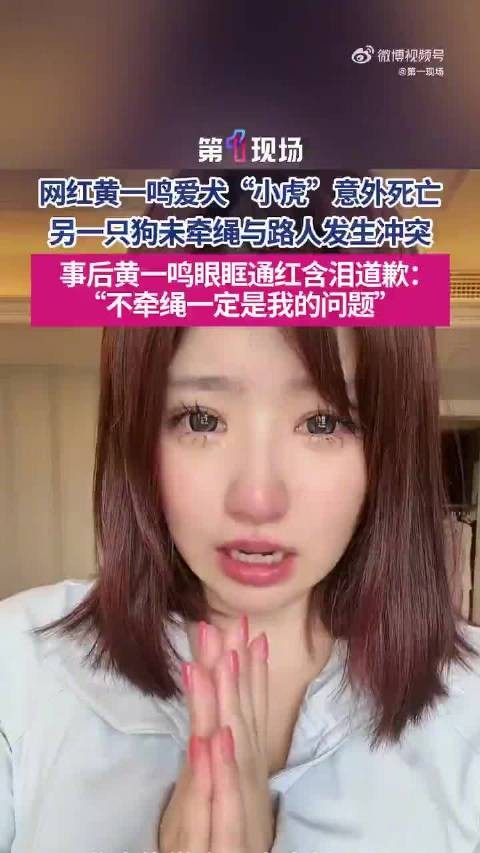 黄一鸣含泪道歉不牵绳是我的问题