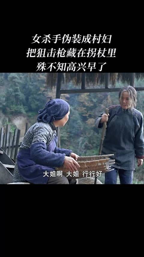 拐杖那么细 啥枪能放进去?