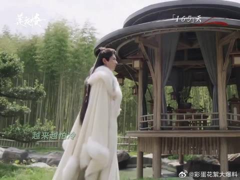 莲花楼主角病重细节曝光，十年孤身历程引关注