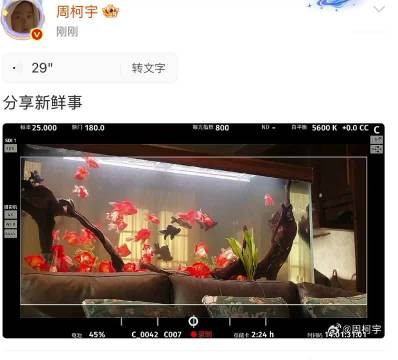 周柯宇一口气送出18个节日祝福,再现剧中经典台词