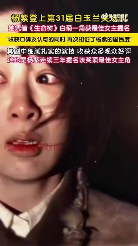 生命树热播印证杨紫国民度