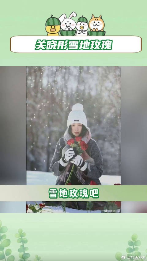 关晓彤 微博VC计划